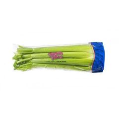 Celery Stalk